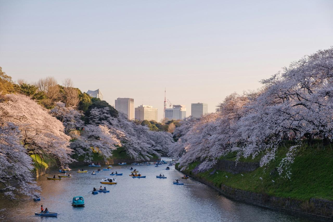 Lär dig japanska och upplev Japans vackra natur