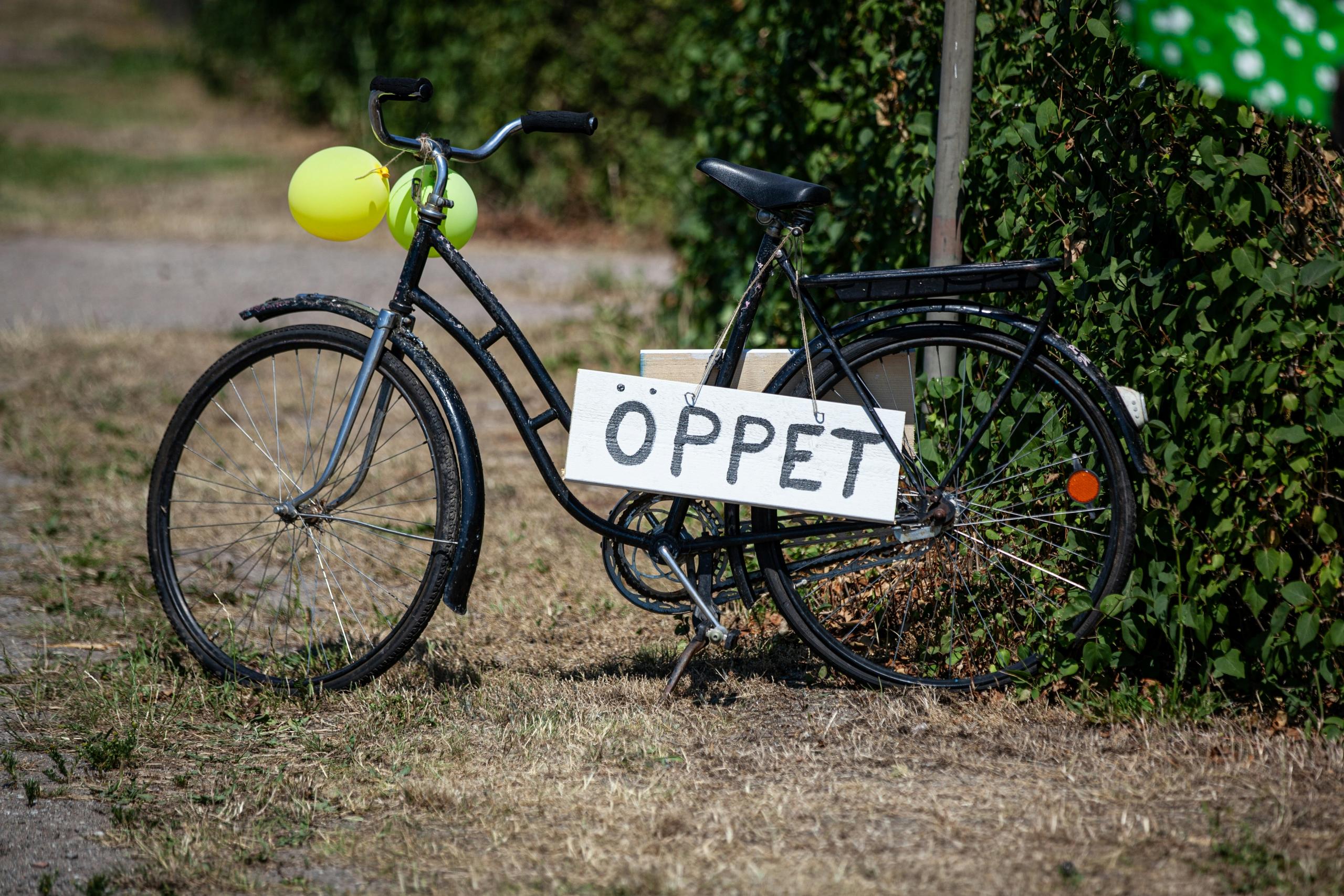 learn some basic Swedish words and phrases