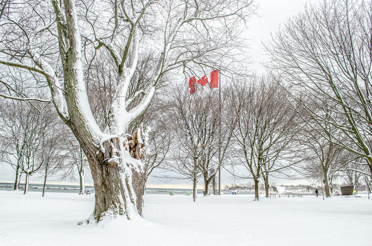 Hur firar man jul i kanada? Med snö och flaggan på topp!