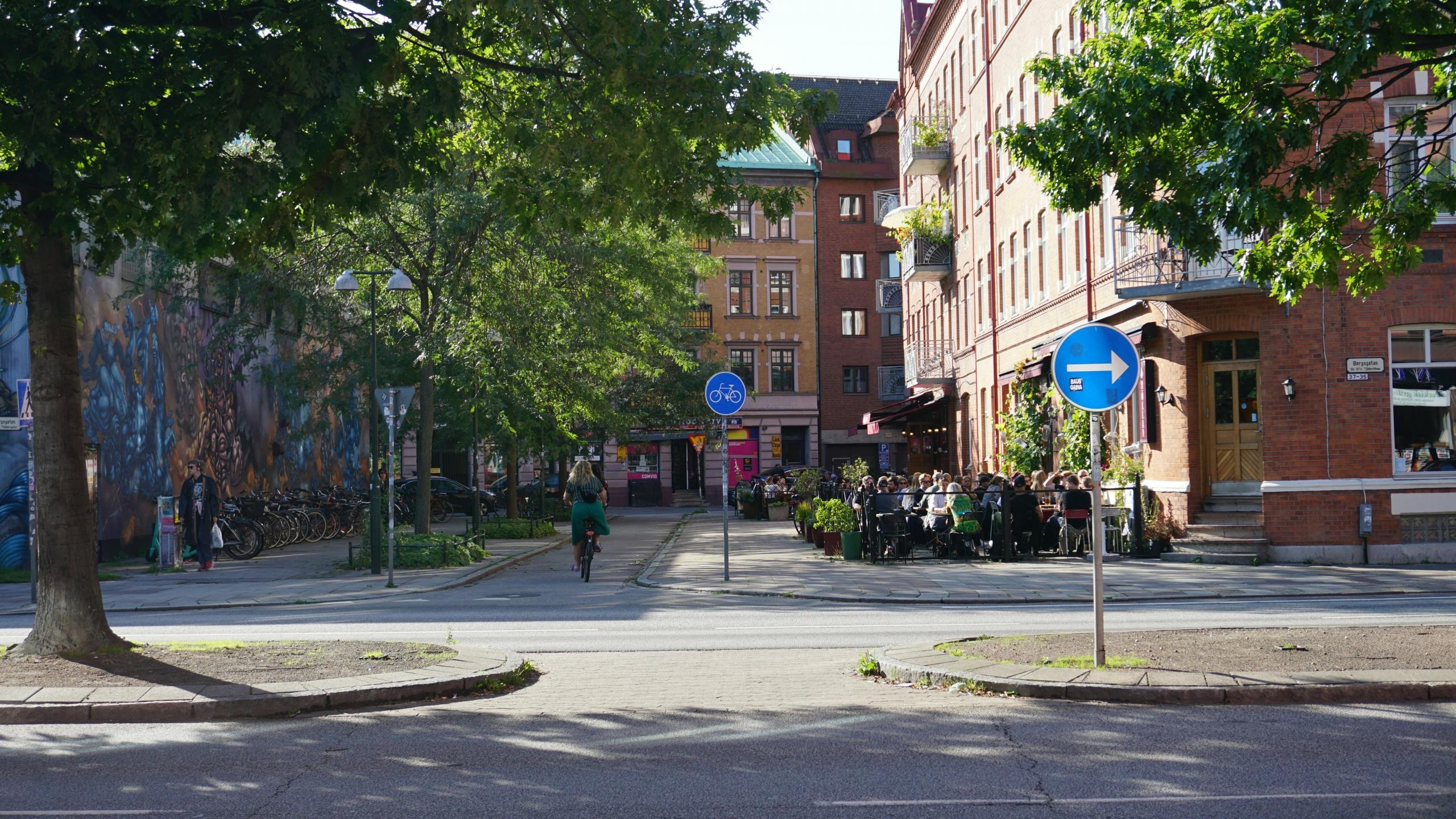 Malmös gator fulla med liv och kultur