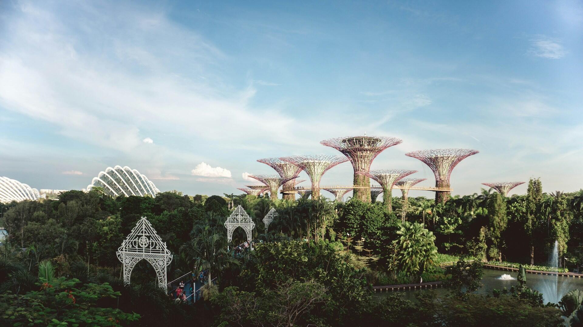 Singapore är ett nytt land, som vuxit fram strategiskt och målmedvetet
