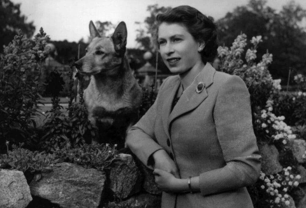 Elisabeth och en av hennes hundar 1952