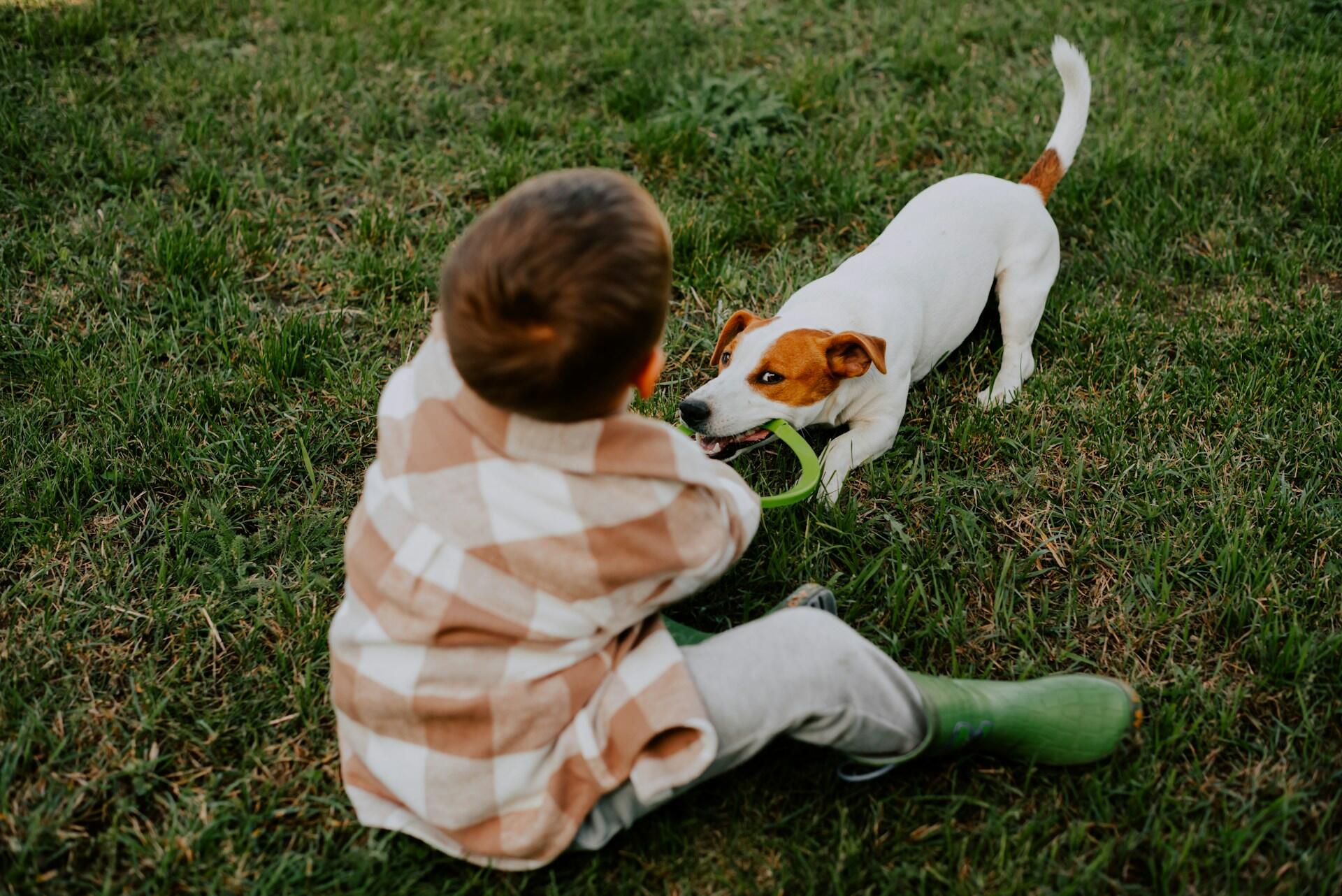 pojke leker dragkamp med hund på gräs