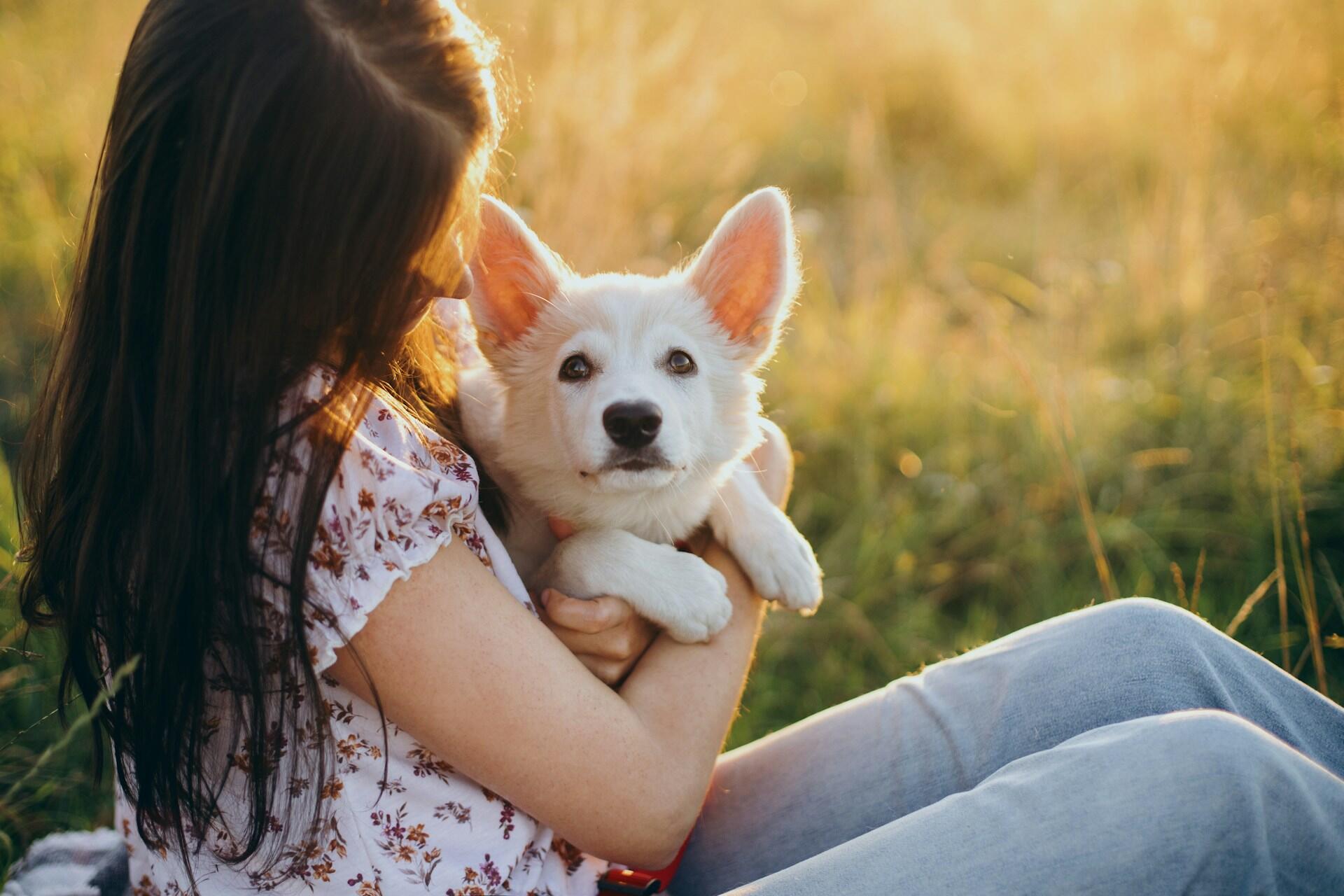 ficka sitter på äng med vit hund i knäet