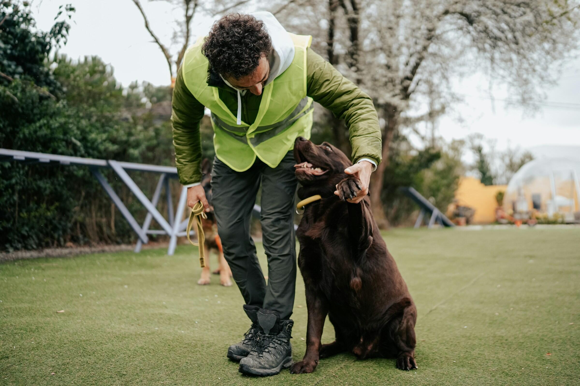 Hund tränas av man i gul väst