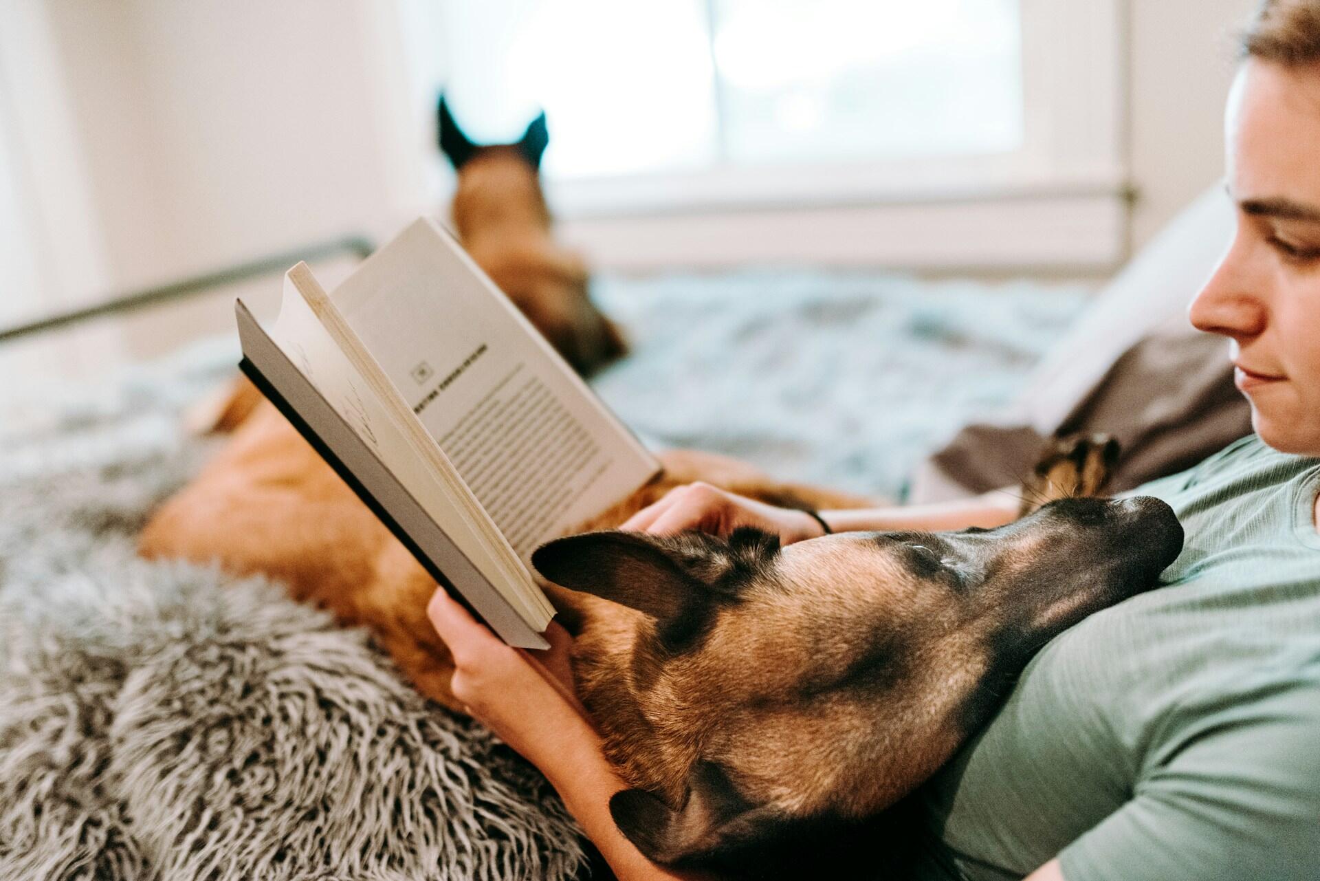 en man läser på soffan med hund
