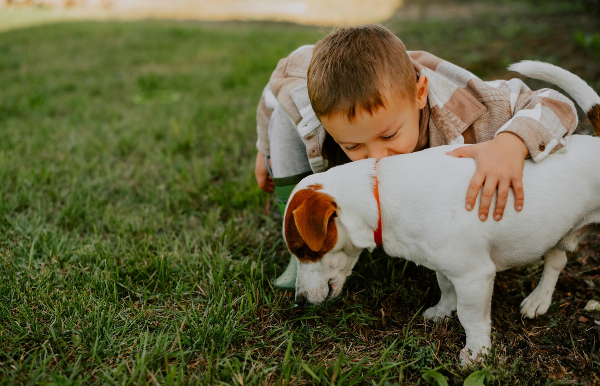 pojke leker med liten brunvit hund på gräsmattaa