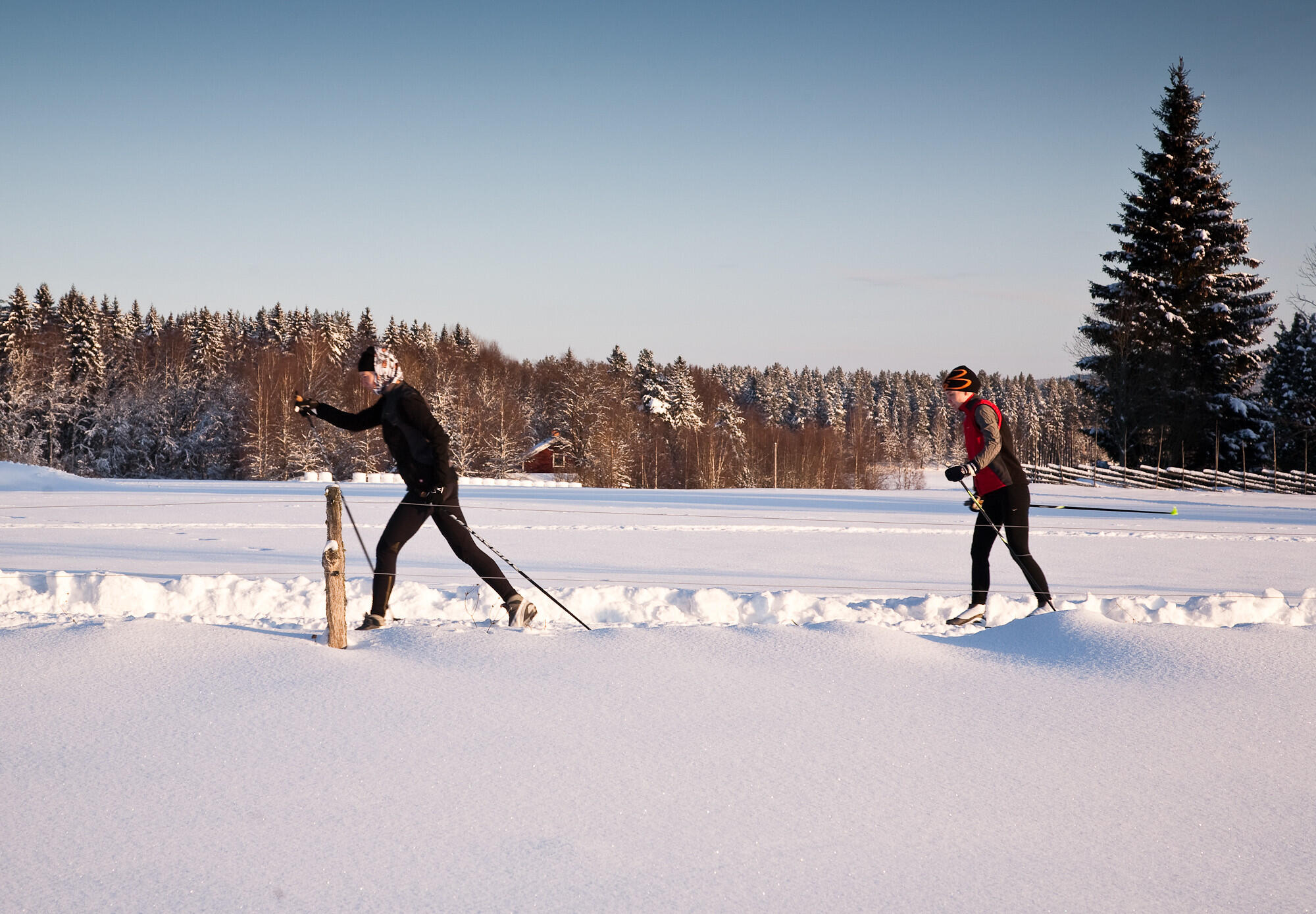Två personer i skidkläder som åker längdskidor i djup snö. I bakgrunden syns soliga grantoppar.