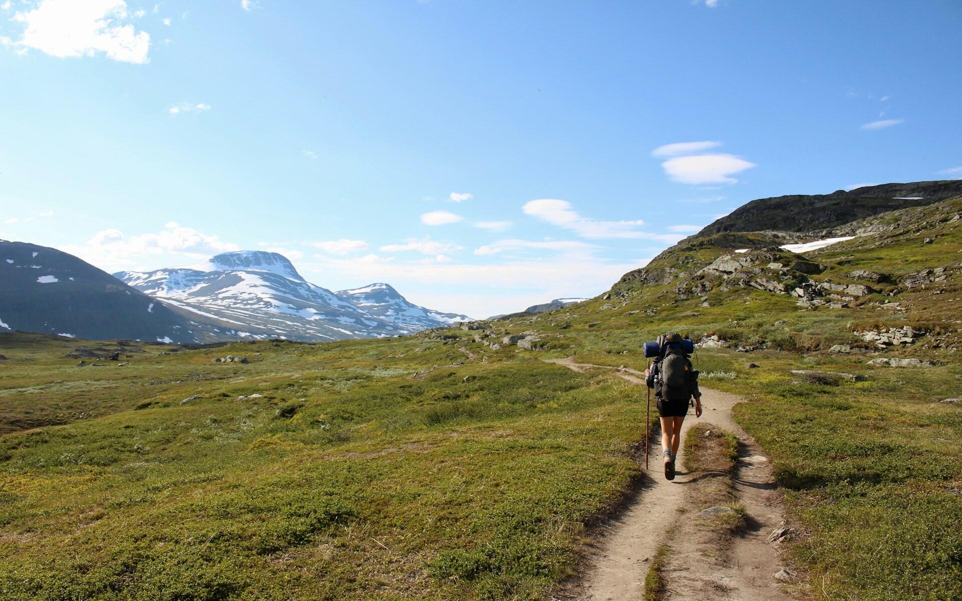 En vandrare med ryggsäck går längs en slingrande stig omgiven av frodigt grönt gräs och snötäckta berg under en klarblå himmel.