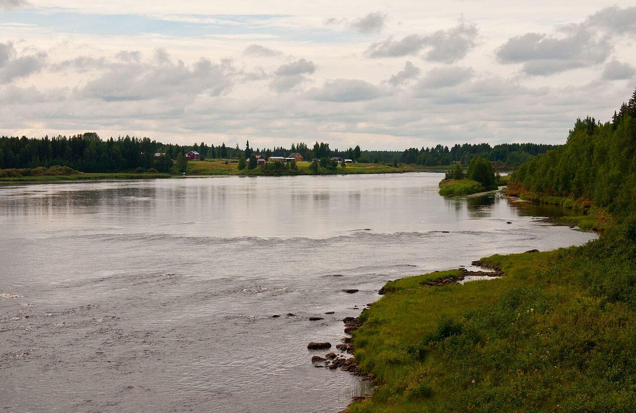 En lugn flod flyter genom ett frodigt landskap, omgivet av träd och avlägsna åkrar under en molnig himmel.