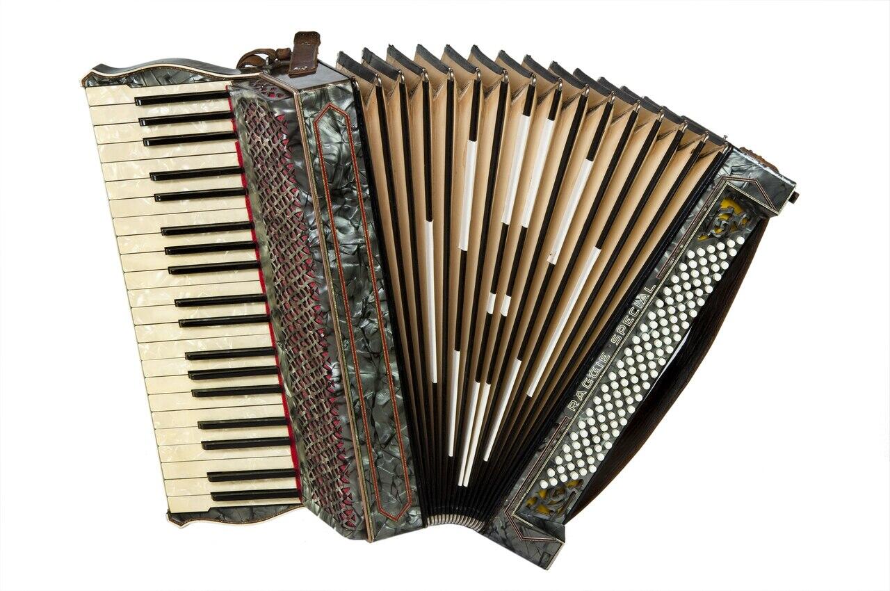 Bilden visar ett dragspel fotograferad i en studio med helt vit bakgrund.