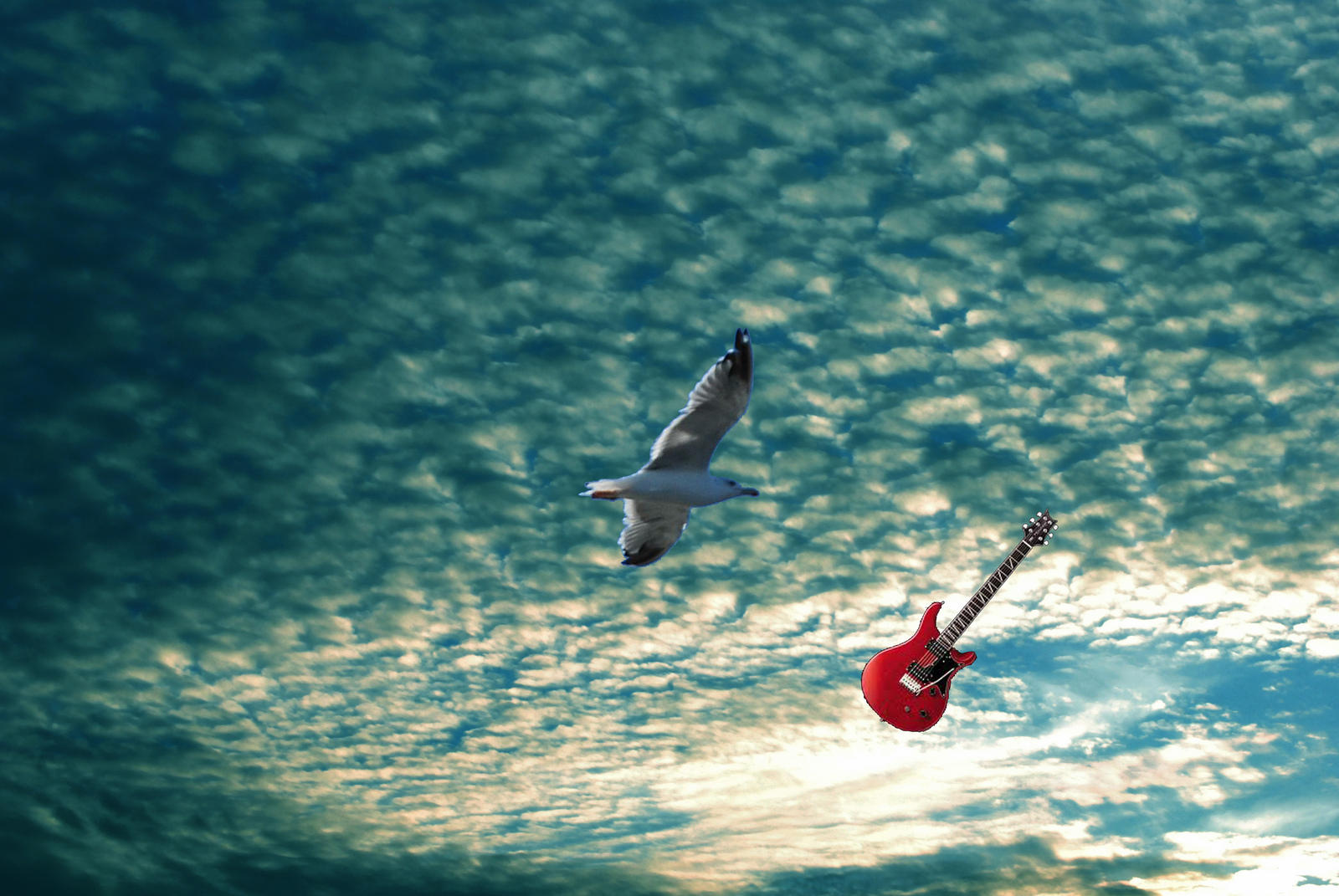 A guitar falling from the sky beside a bird.