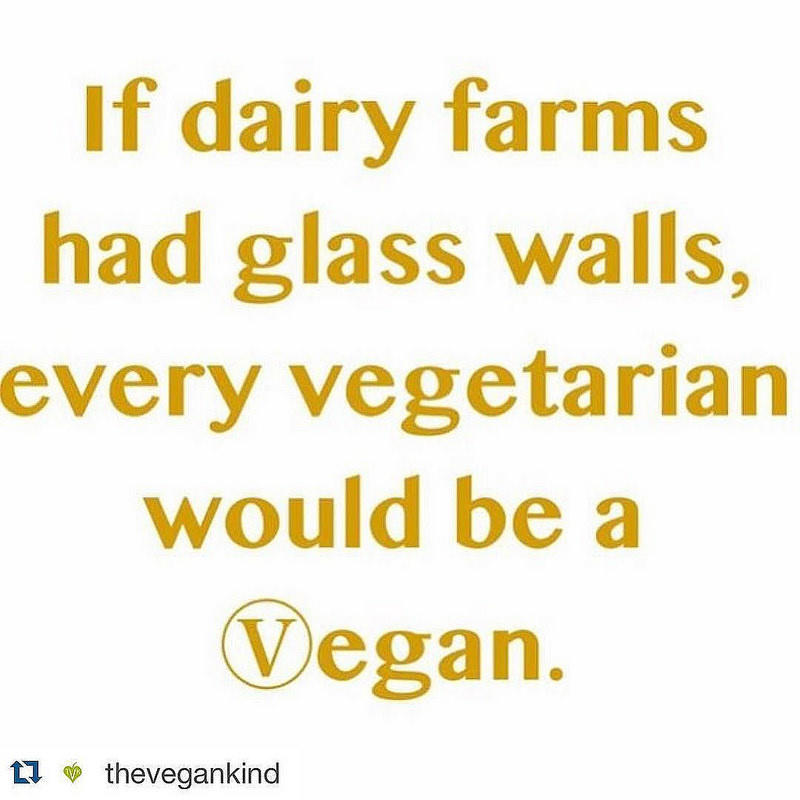Veganism is not just a diet, it is a way of life.