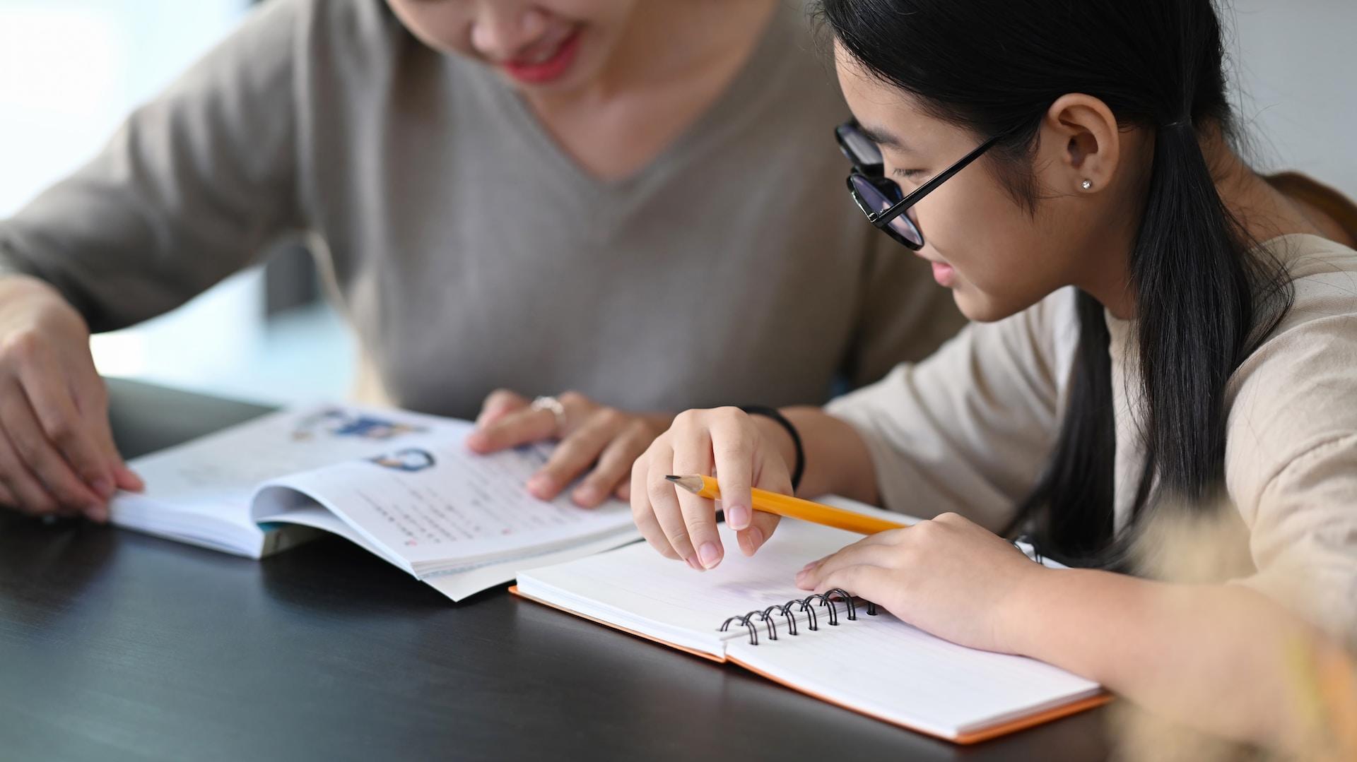 A woman and a child studying together.