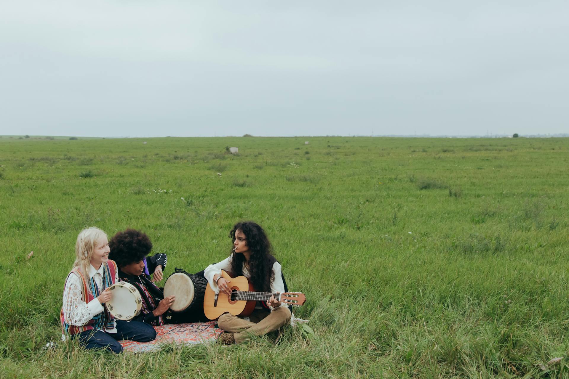 People Sitting on Grass Field while Playing Instruments.