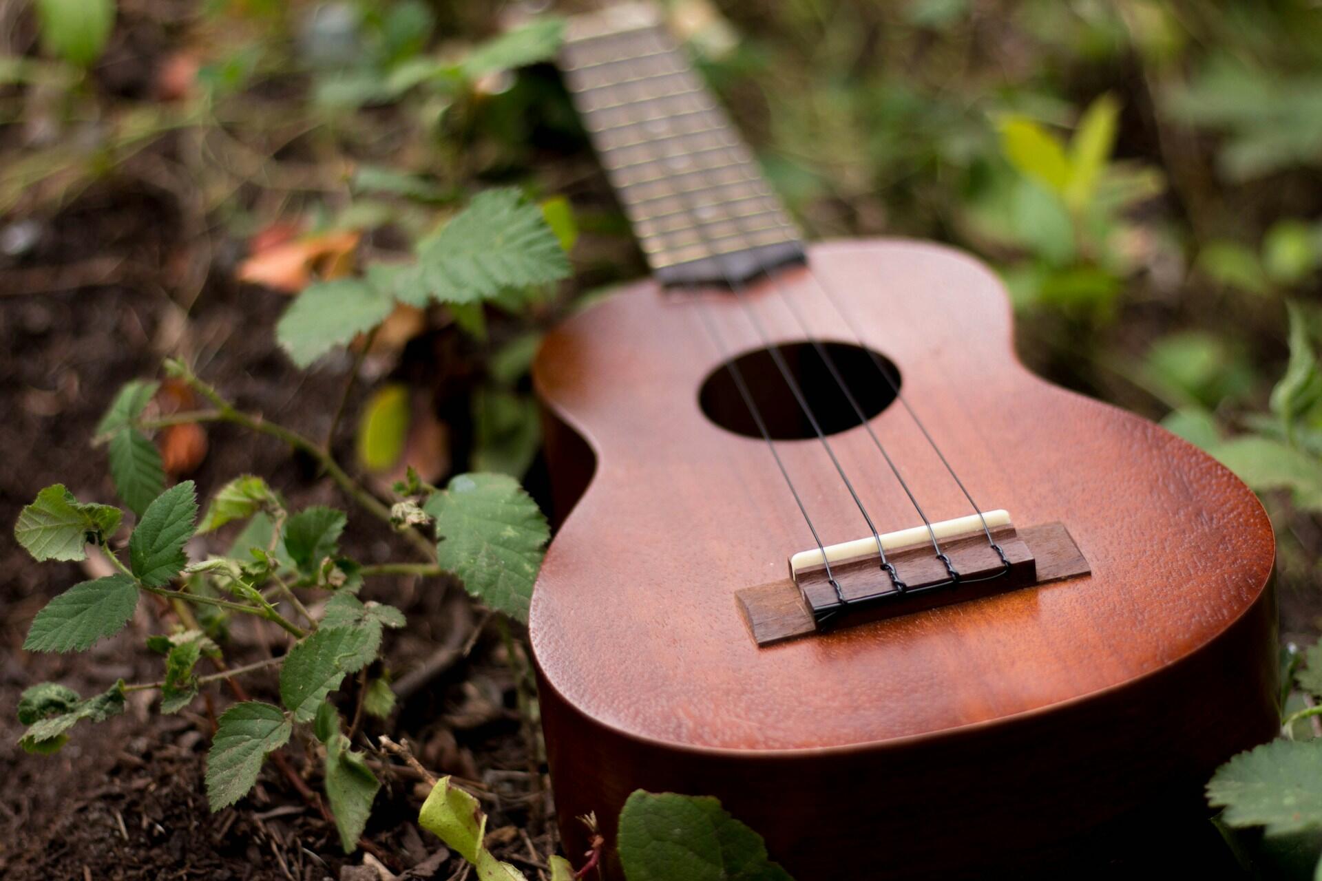 Brown acoustic string guitar resting among leaves outdoors.