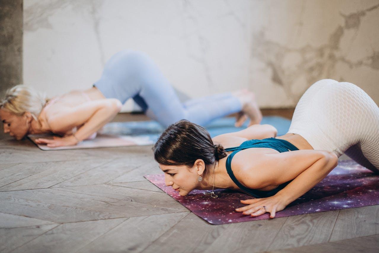 Yogis practicing chaturanga dandasana