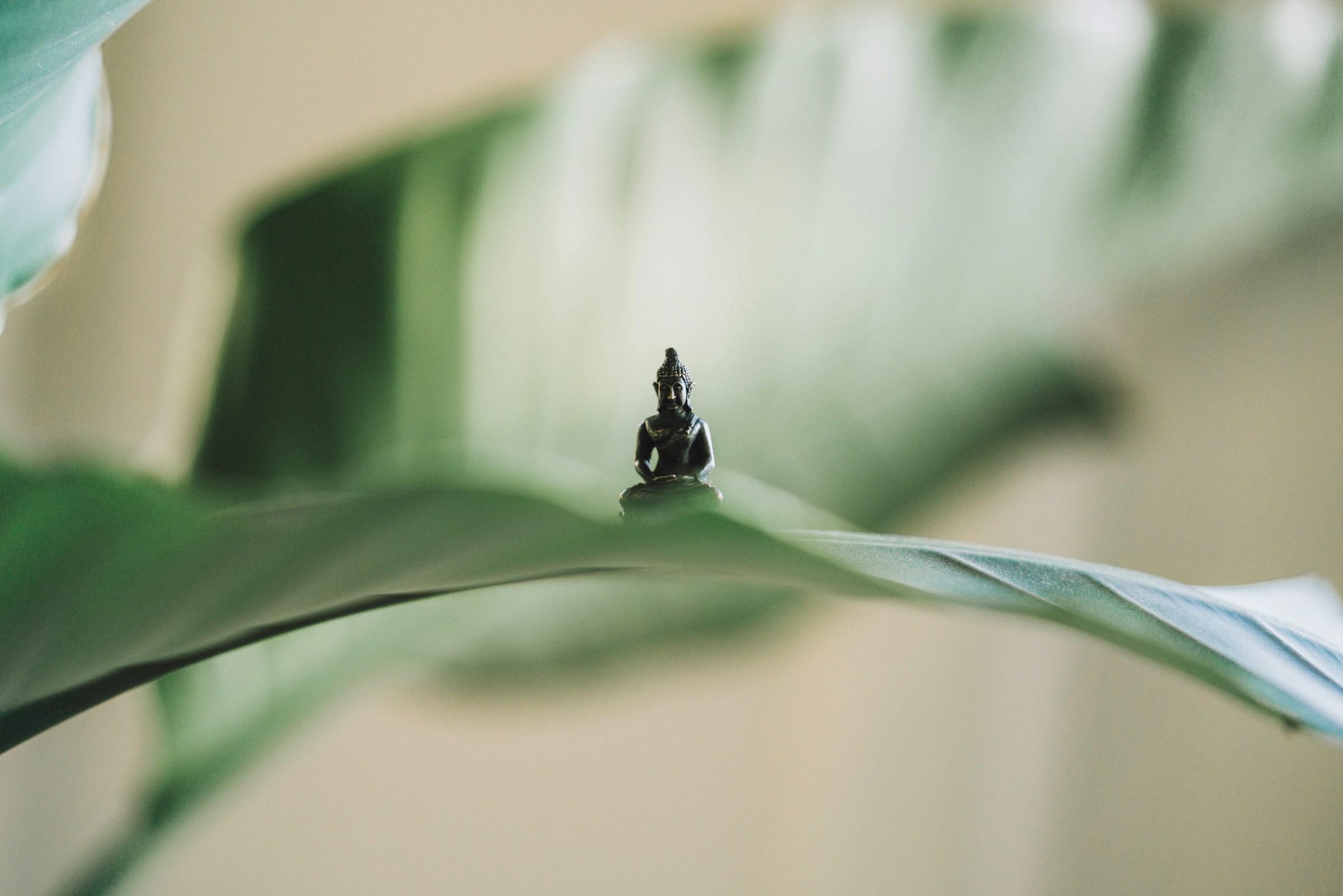 A small Buddha statue on a leaf