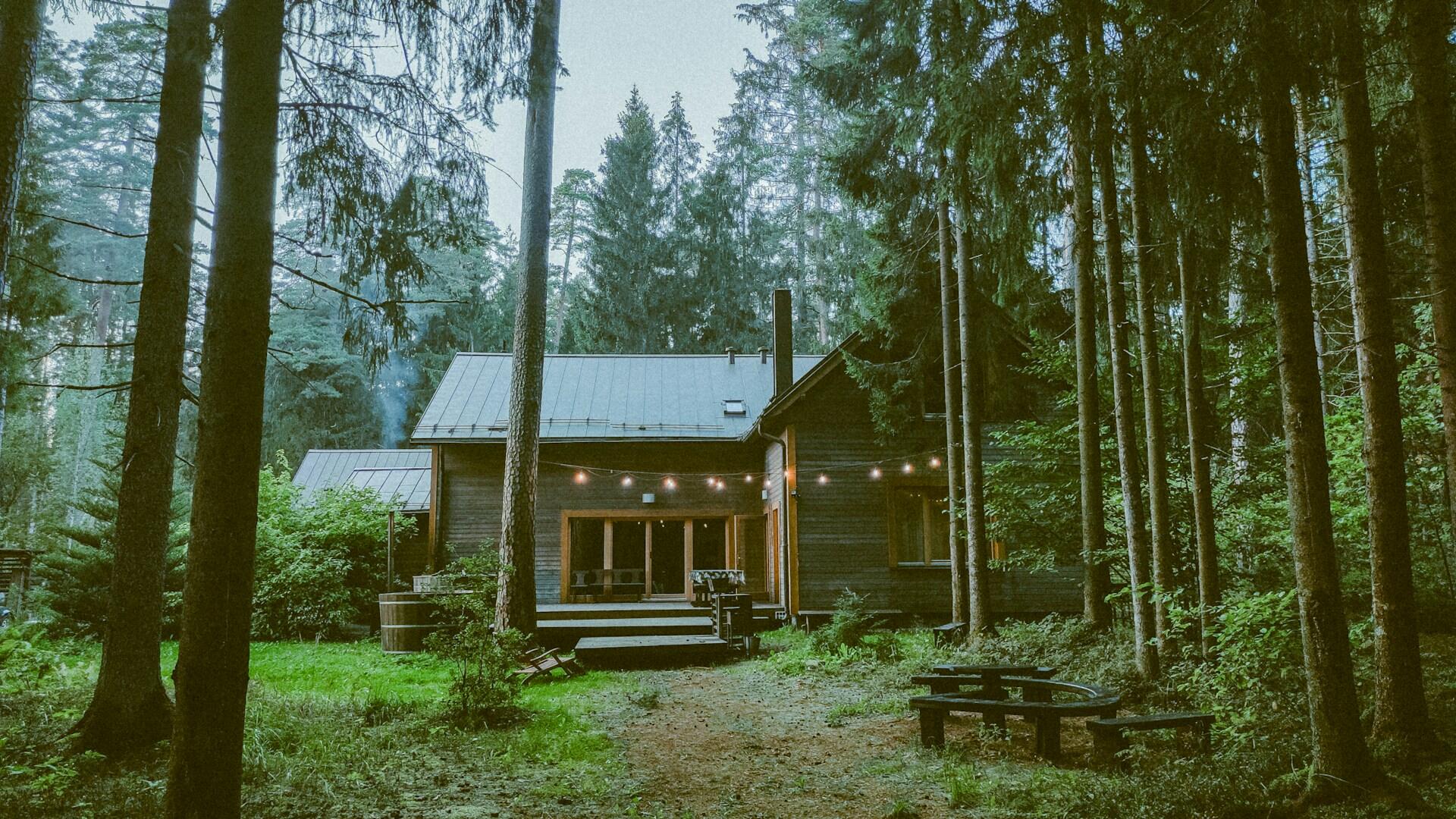 A cozy wooden cabin nestled among tall trees, illuminated by string lights, with a welcoming porch and nearby seating area.