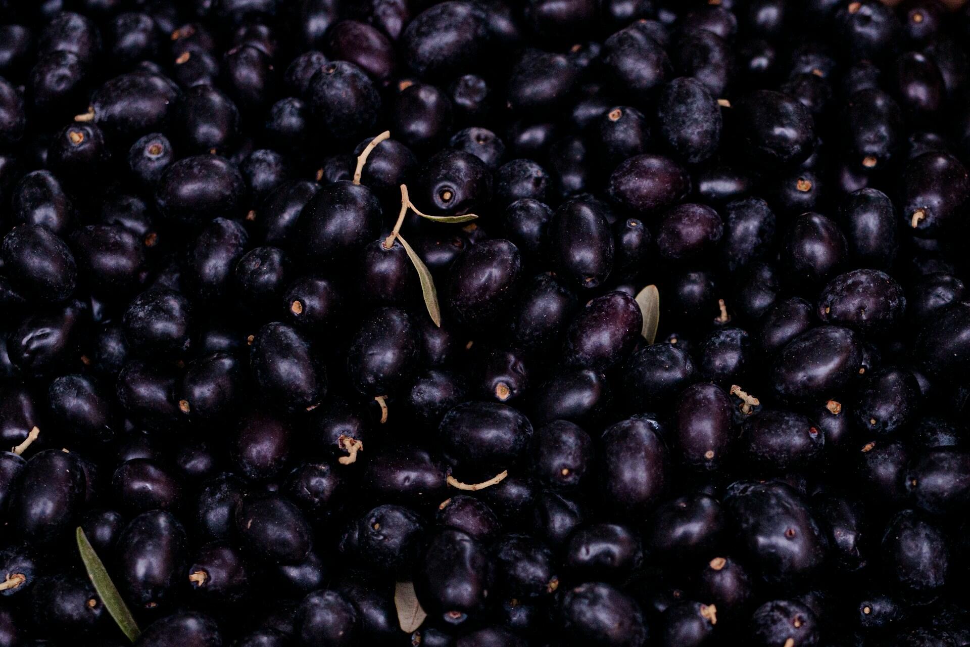 A closeup of acai berries. 