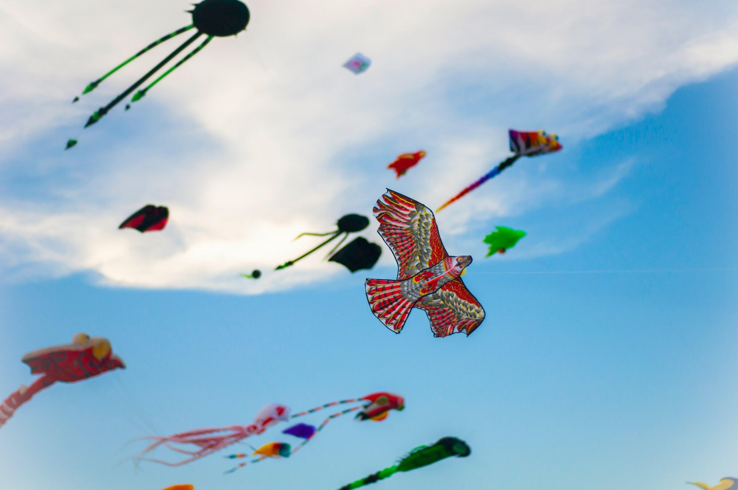 A group of colourful kites flying in the sky.
