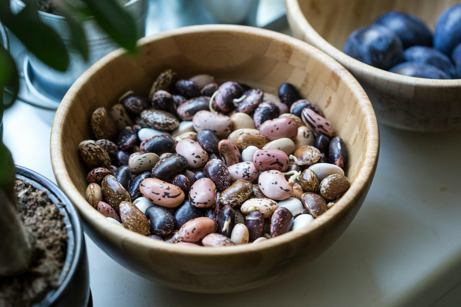 A wooden bowl of multicoloured beans on a white tablecloth, next to another bowl of plums. 