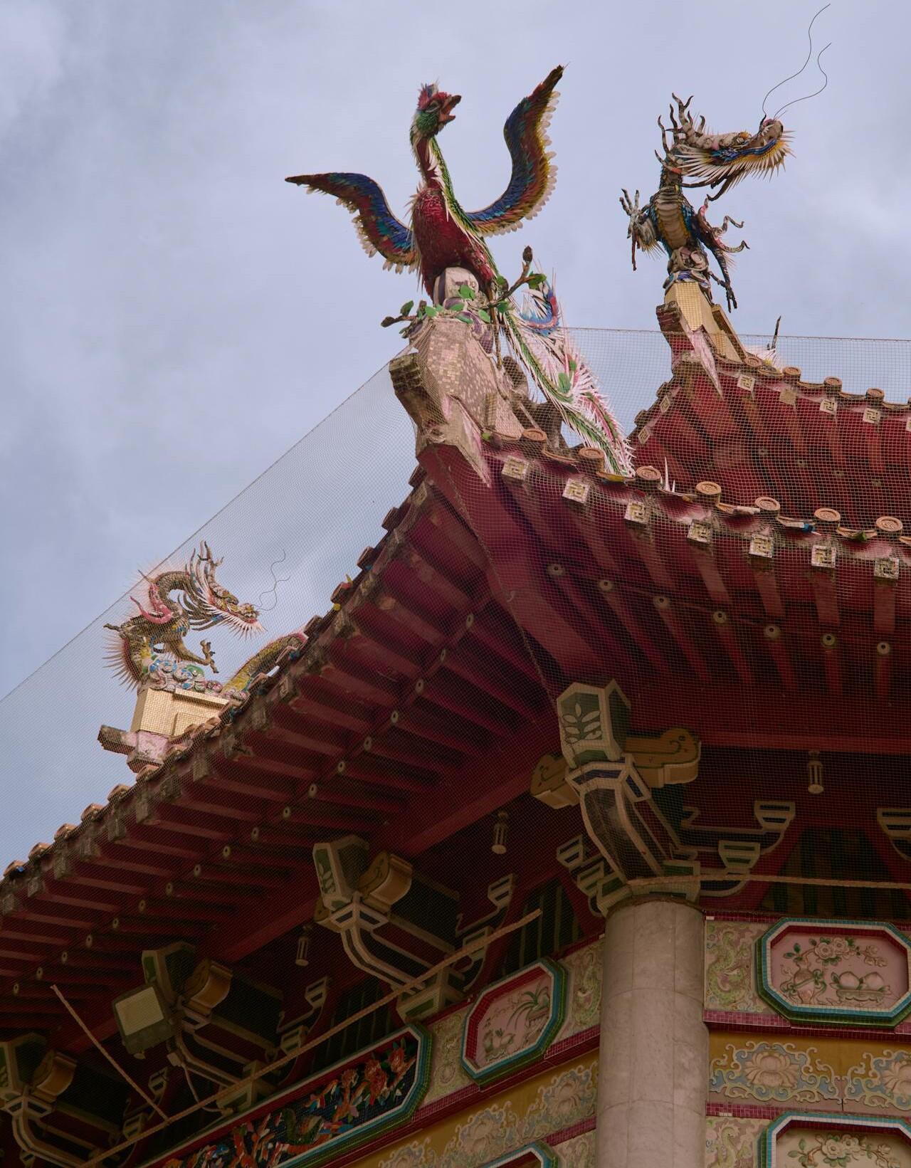 The Phoenix