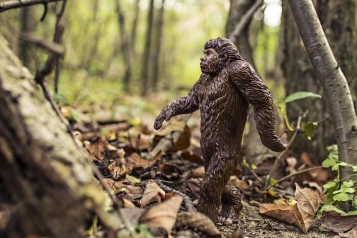 figurica bigfoota sasquatcha v gozdu