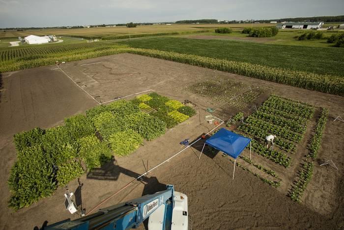 zračni posnetek poskusnega polja biotehnologija