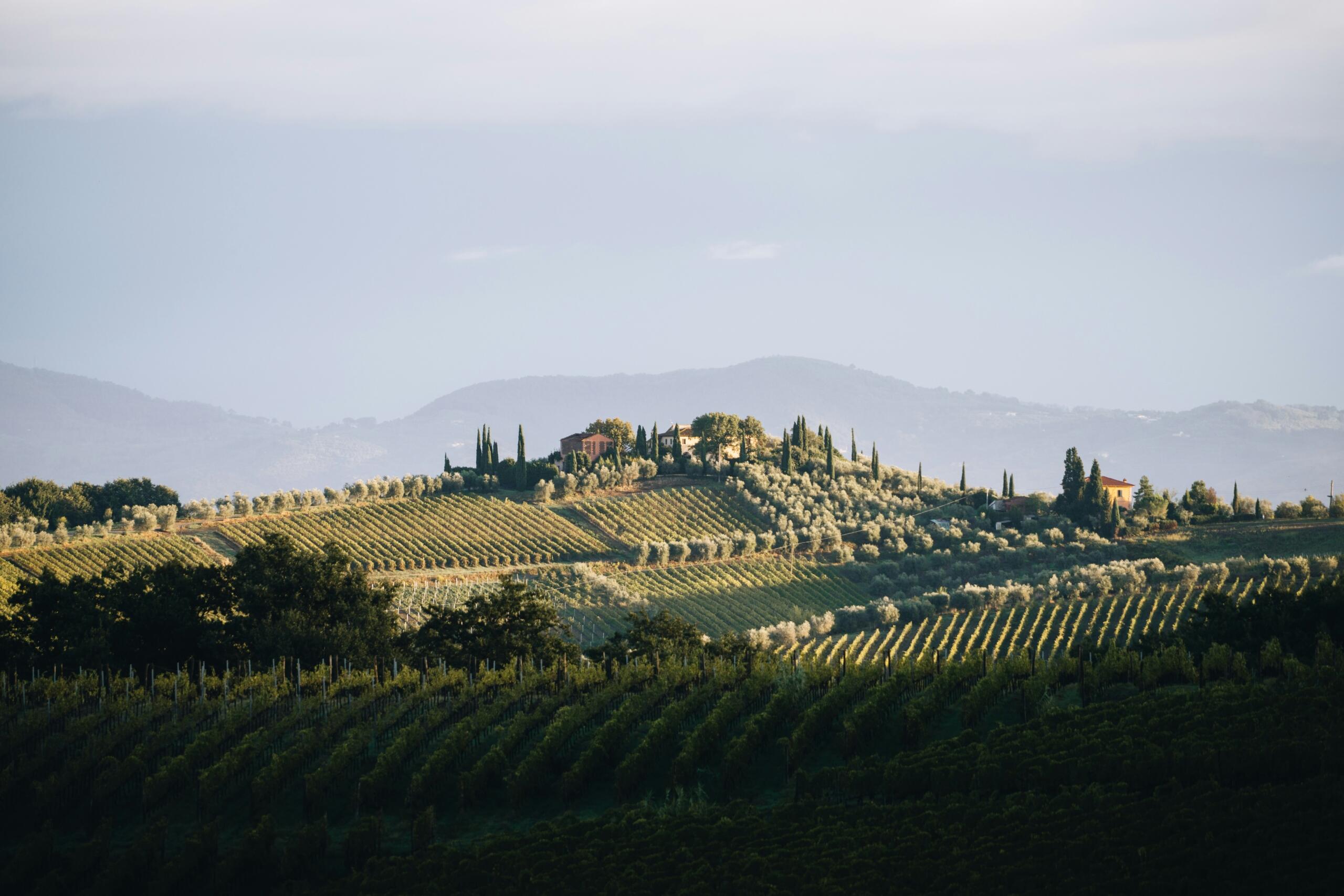 toskanski vinogradi sončni zahod italija