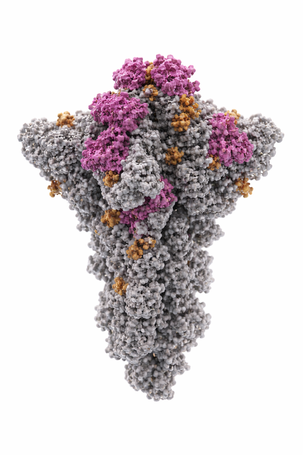 3D prikaz proteina v rdeči površinski predstavitvi z gostimi sivimi in vijoličnimi delci, struktura je asimetrična z izrastki in votlinami, ozadje temno sivo-modro z mehko osvetlitvijo