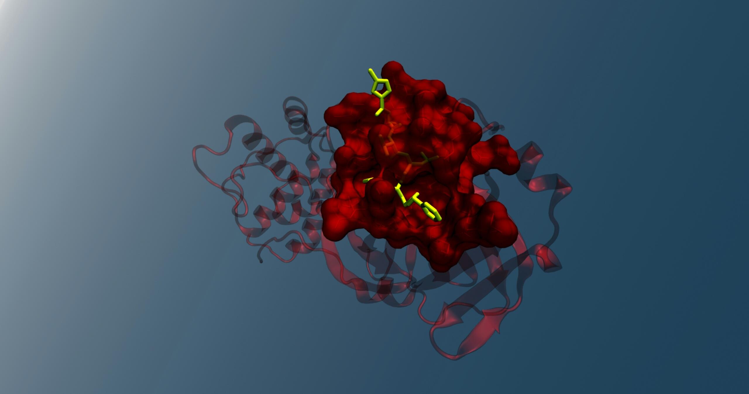3D model proteina v rdeči površinski predstavitvi z zelenim ligandom (majhna molekula) v središču vezavnega mesta, ozadje modro, struktura prikazuje alfa-vijačnice in beta-liste