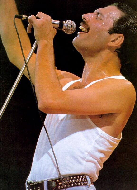 portrét Freddieho Mercuryho