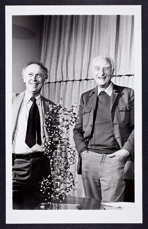 James Watson a Francis Crick stoja vedľa modelu dvojitej špirály DNA