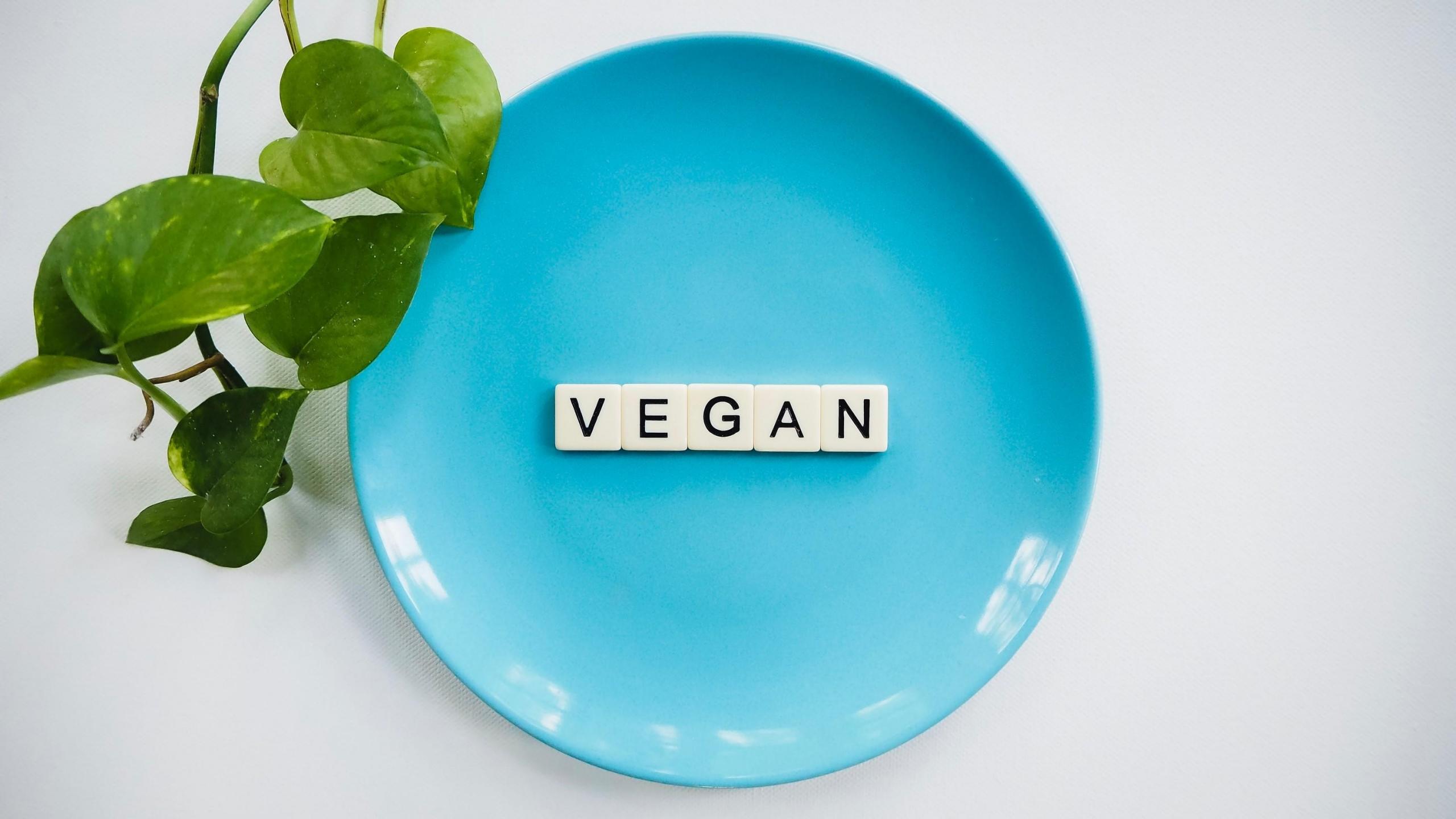 Veganlık ile ilgili her şey