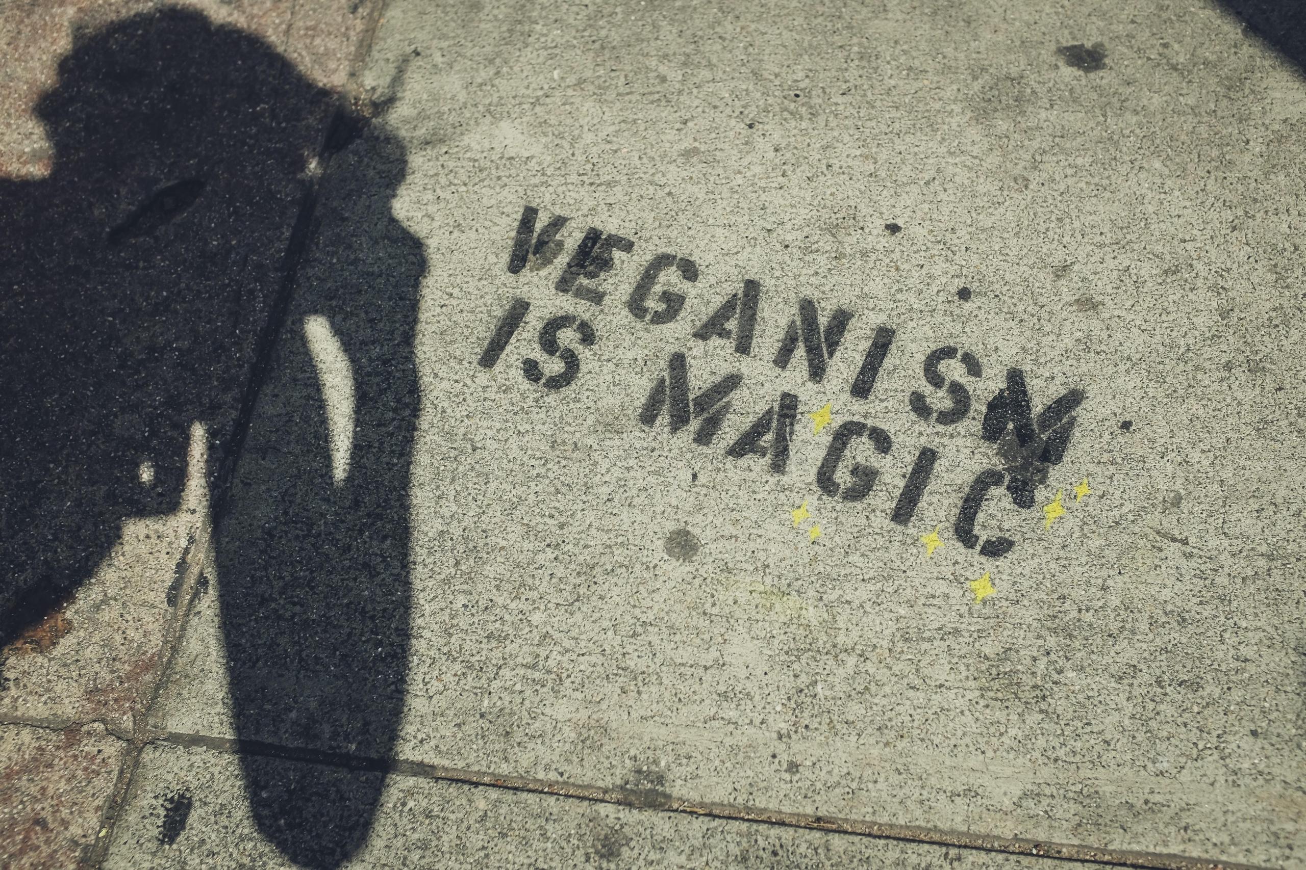 Veganlık ve vegan yaşam