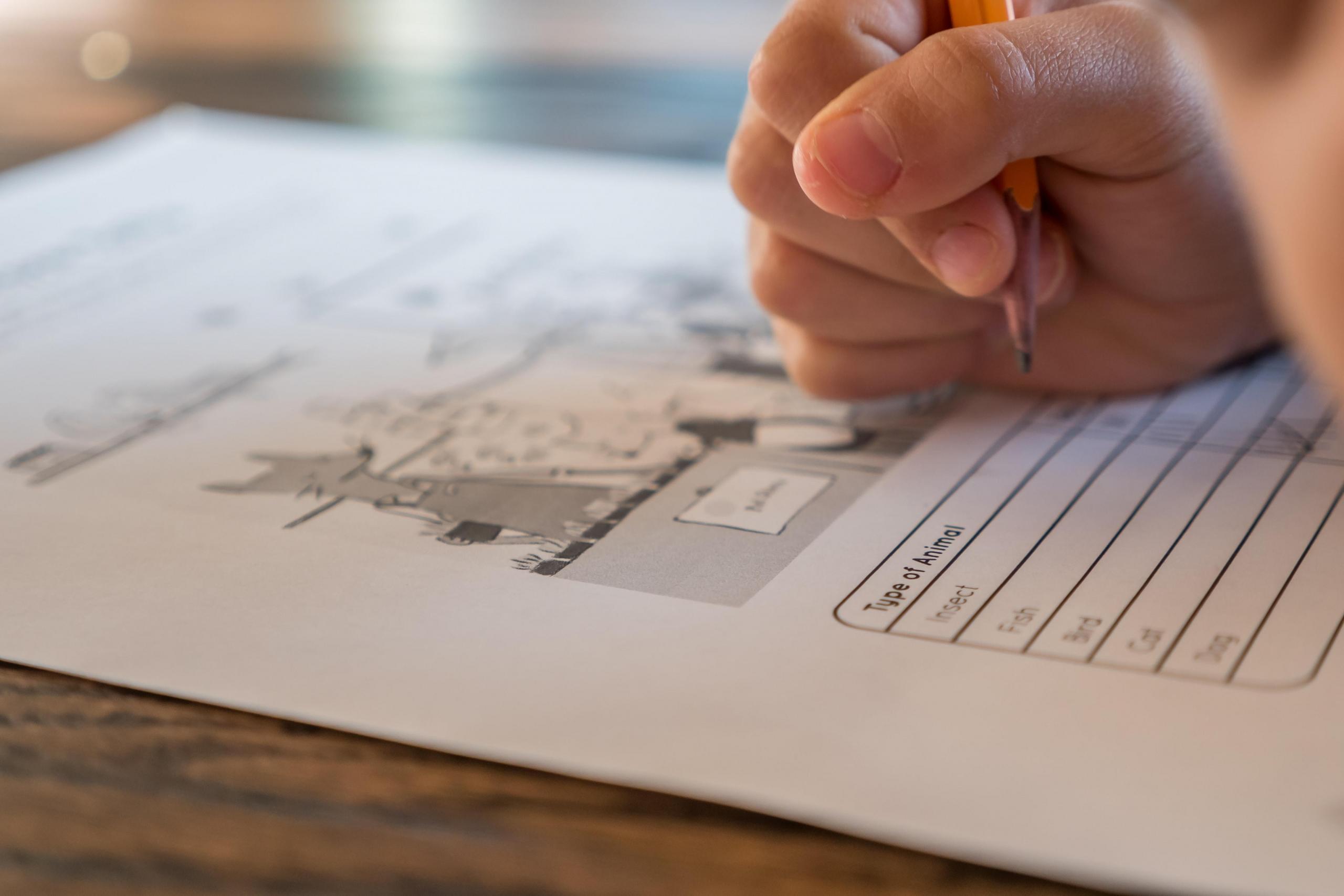 Konu anlatımları ve online test matematik 