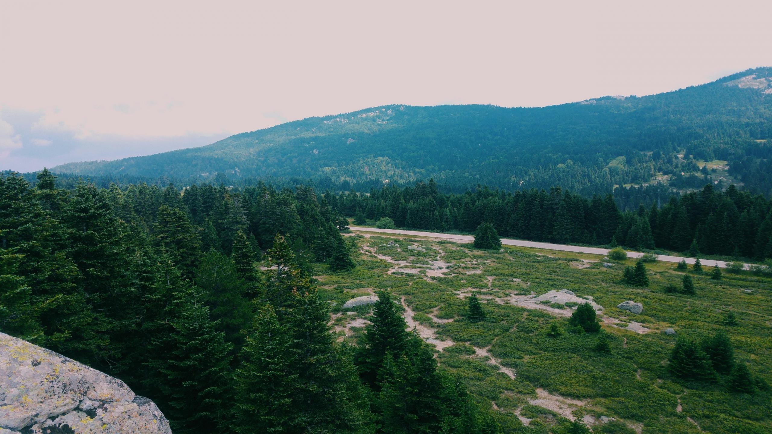 Bursa dağ orman manzara