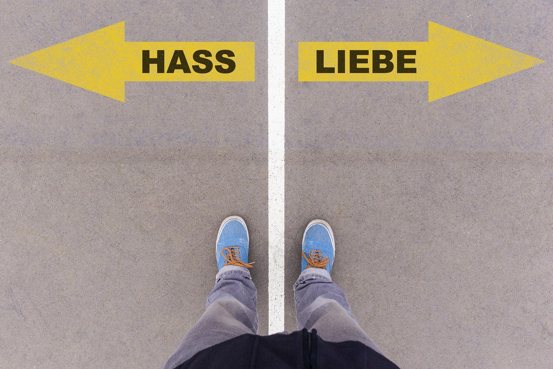 Hass liebe Almanca