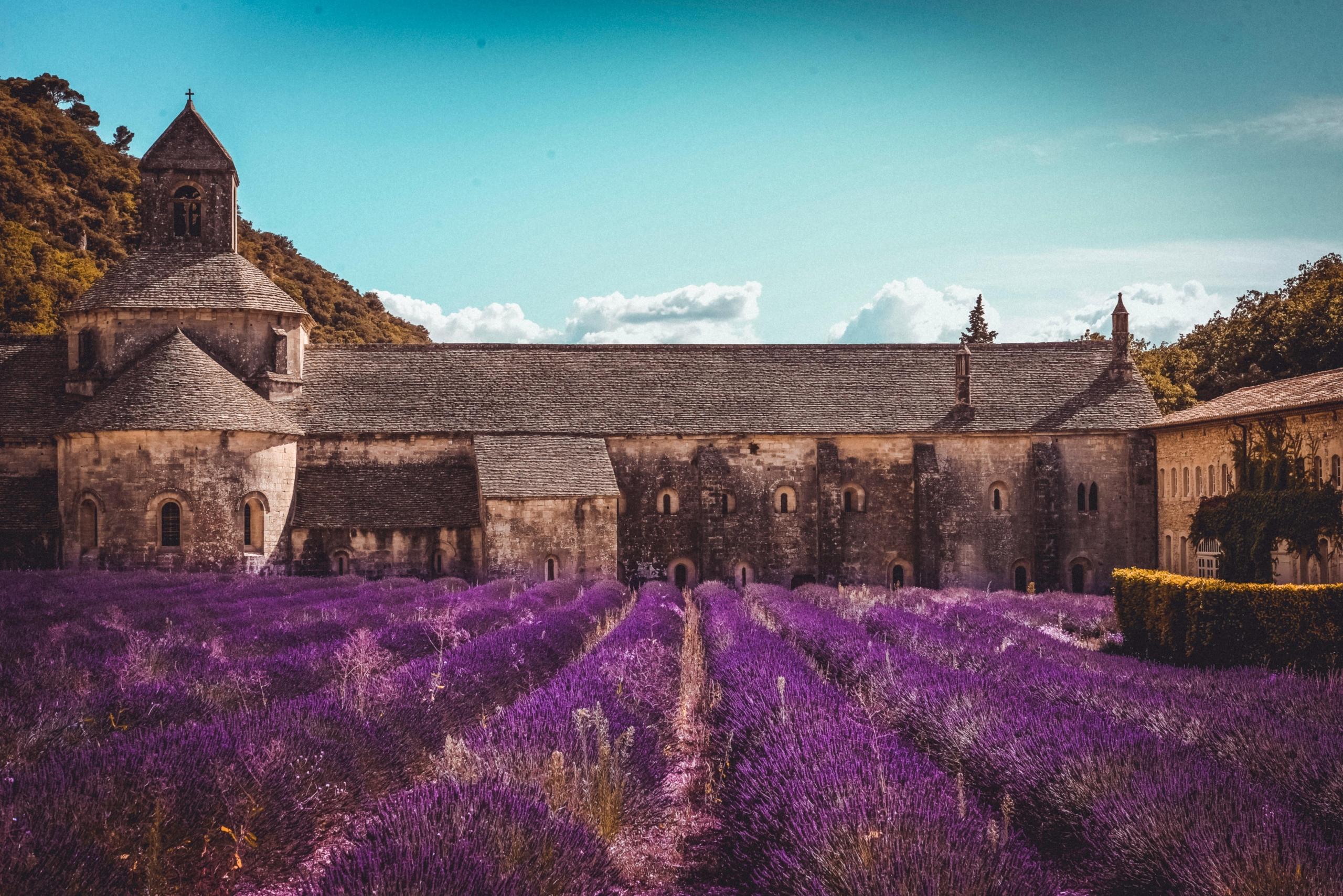 Gordes Fransa lavanta tarlası