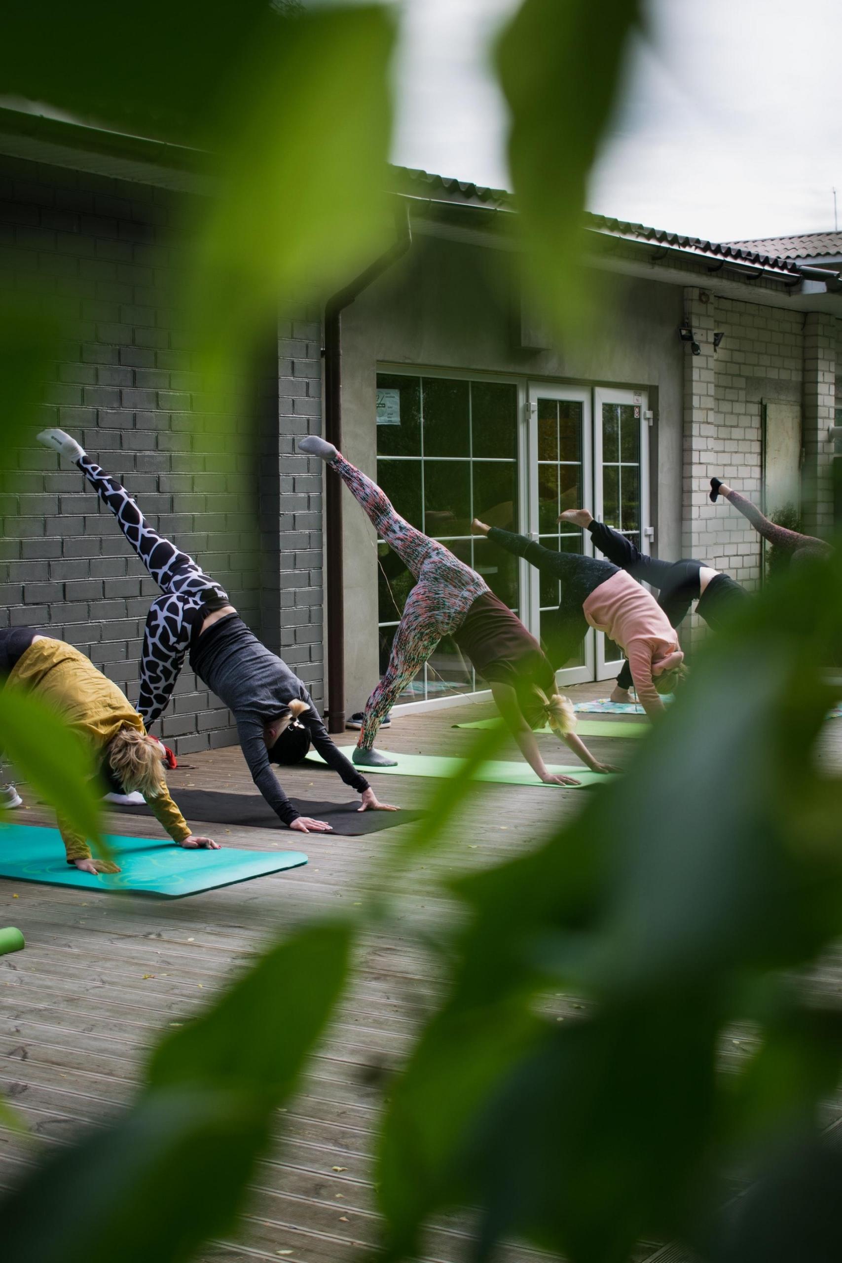 Baahçede mat üstünde yoga yapan grup