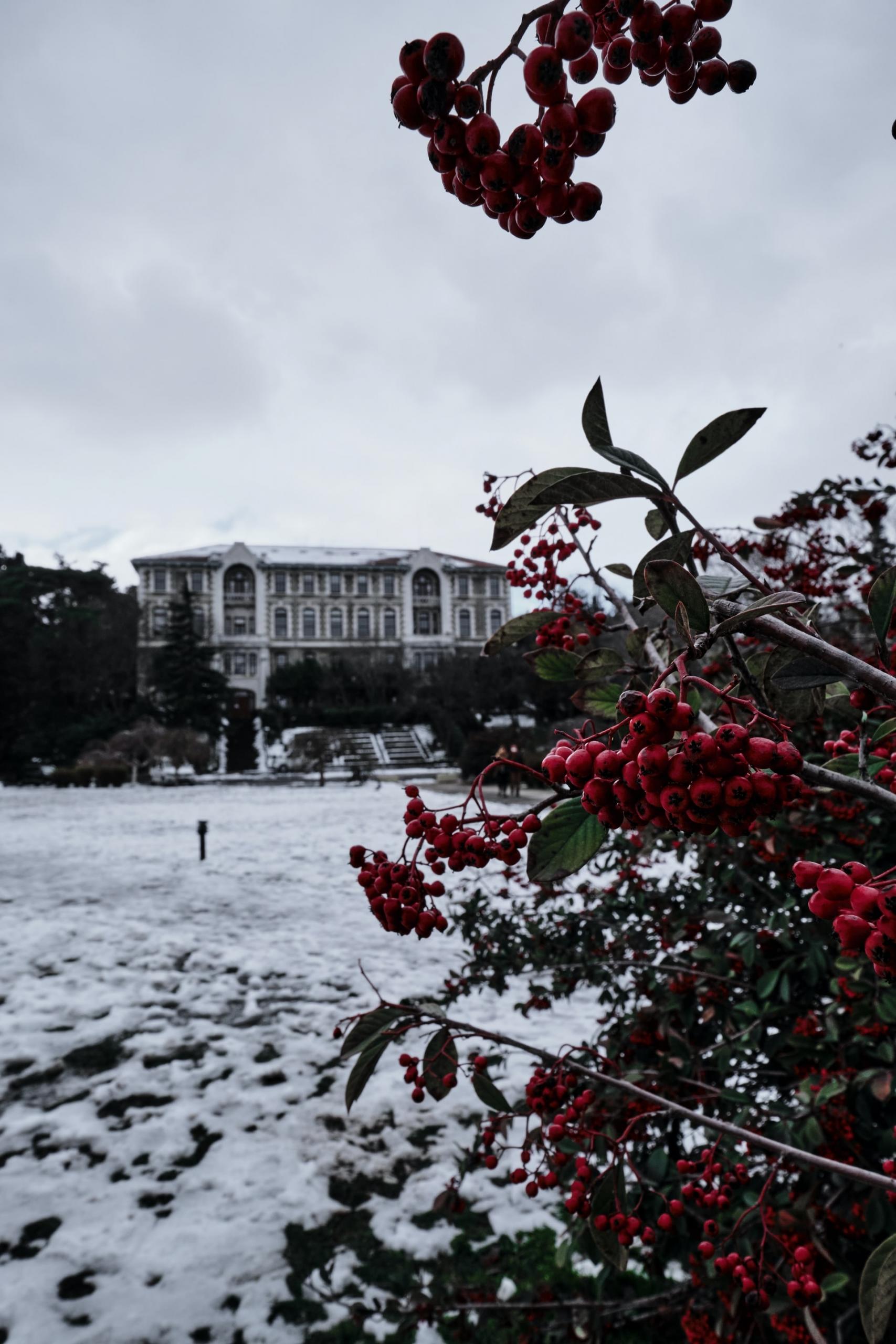 Boğaziçi kampüsünde kar ve kış