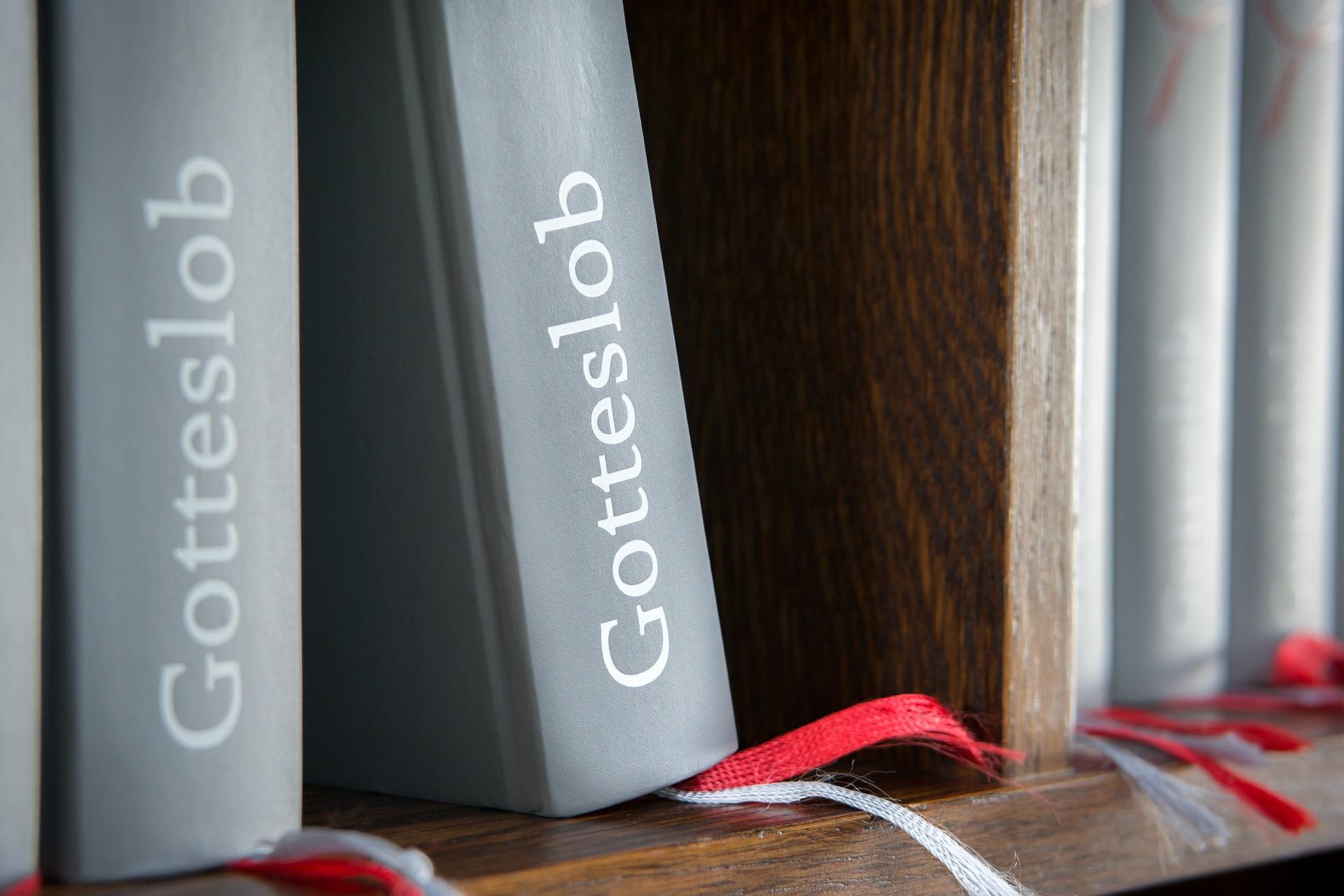 Gotteslab kitap