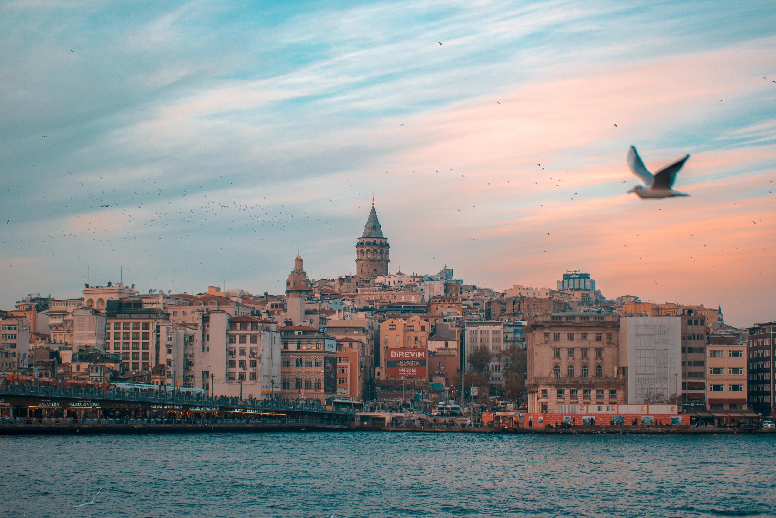 İstanbul deniz kenarında evler havada uçan kuş