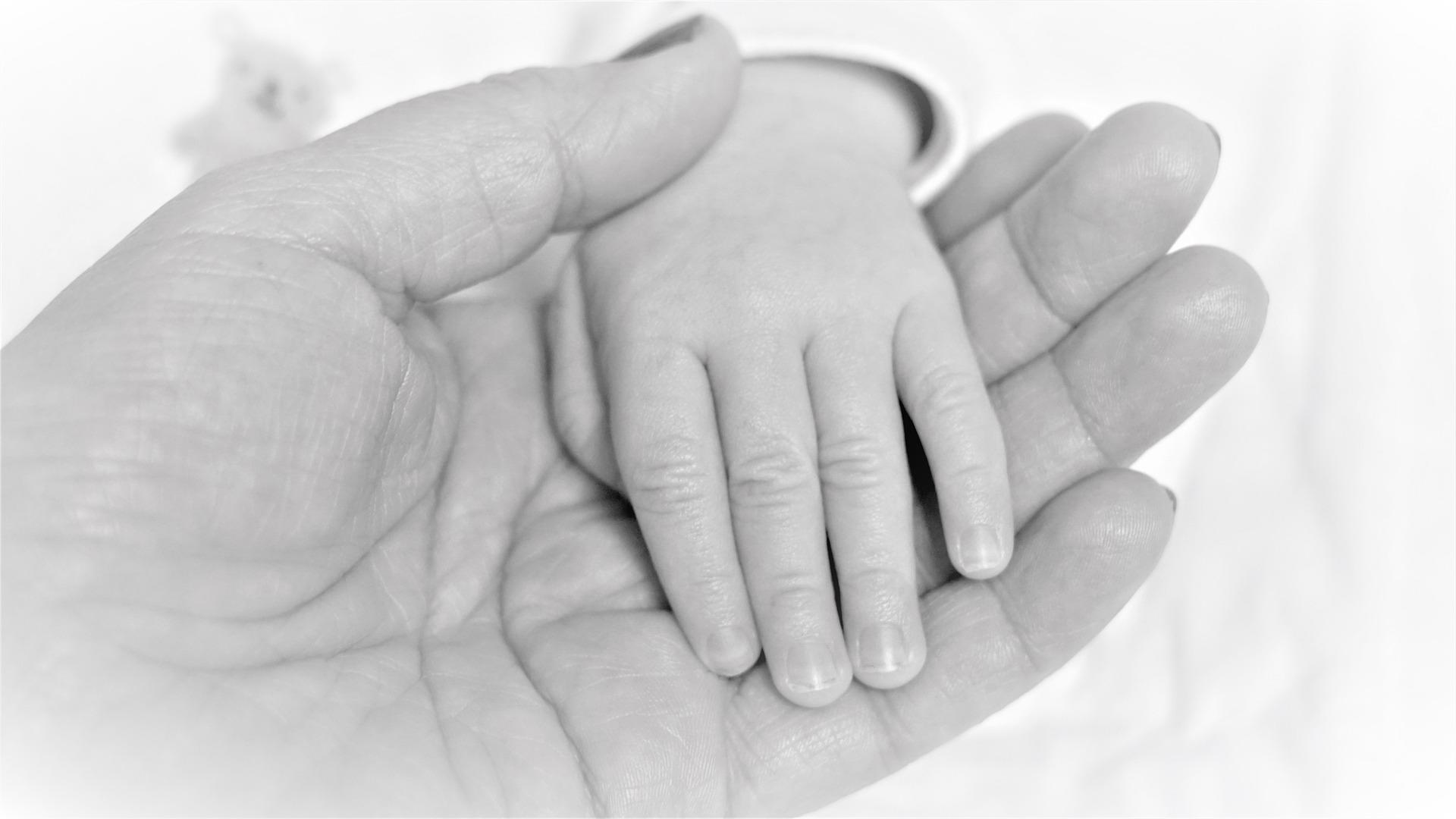 Bir yetişkin ve bebek eli