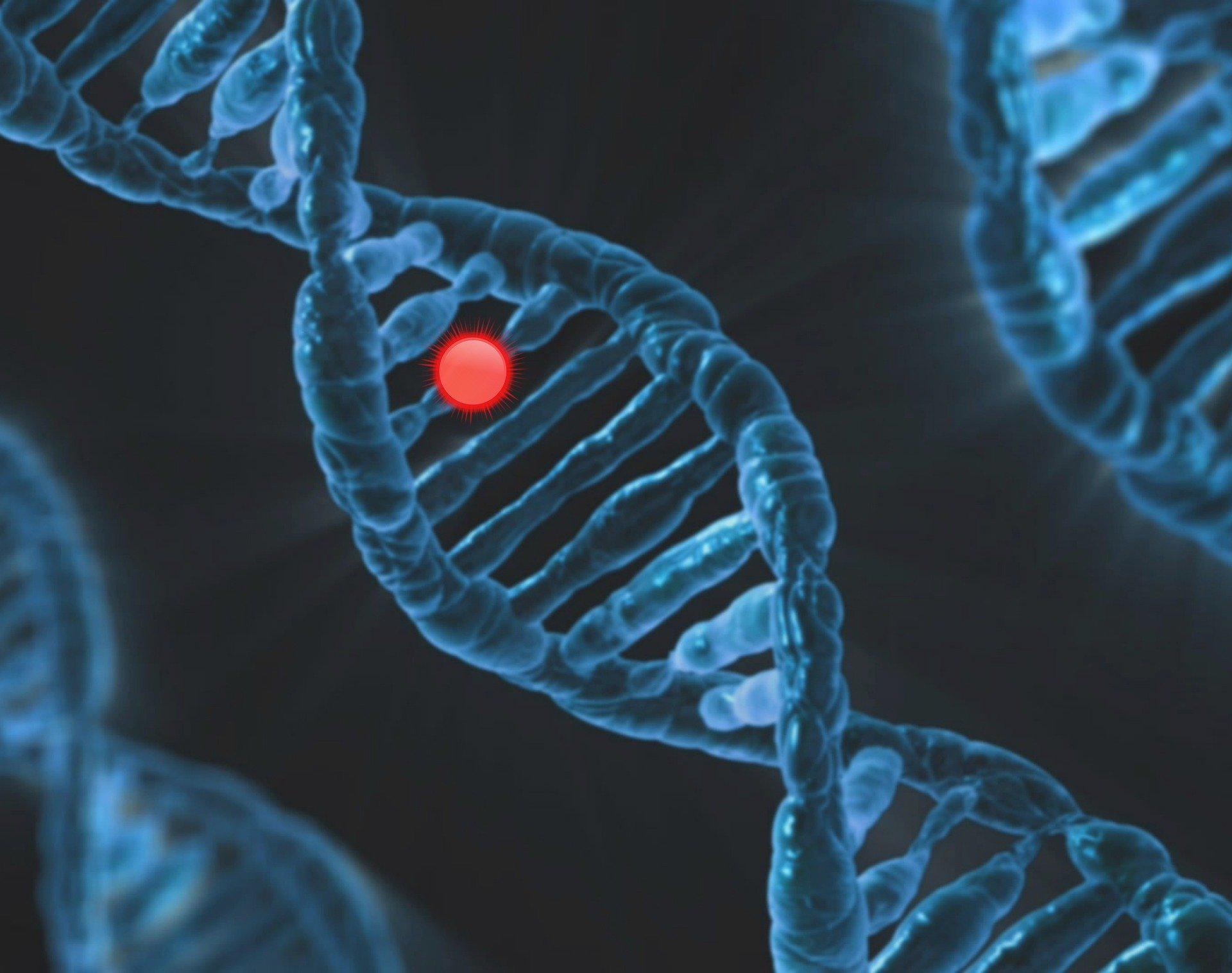 DNA sembolü
