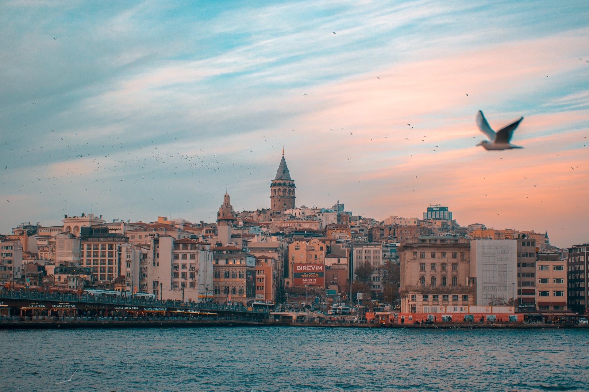 Galata kulesi martı
