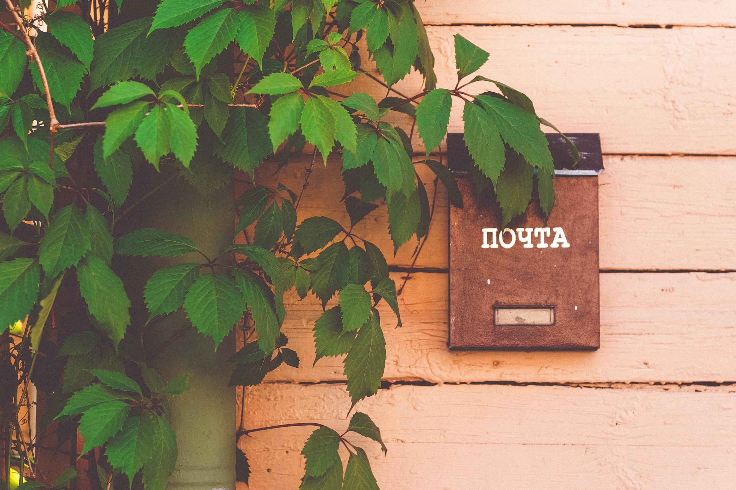Kapının önündeki yeşil bitkiyle posta kutusu