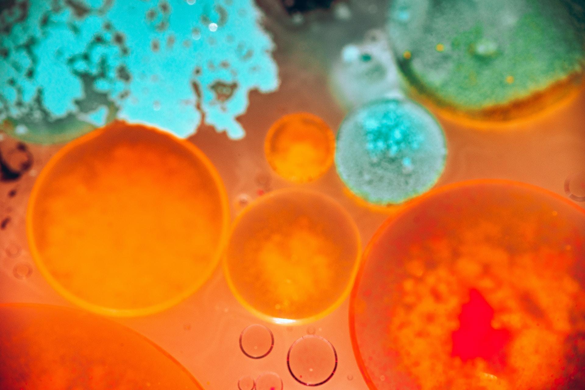 Mikroskobik besin görüntüsü