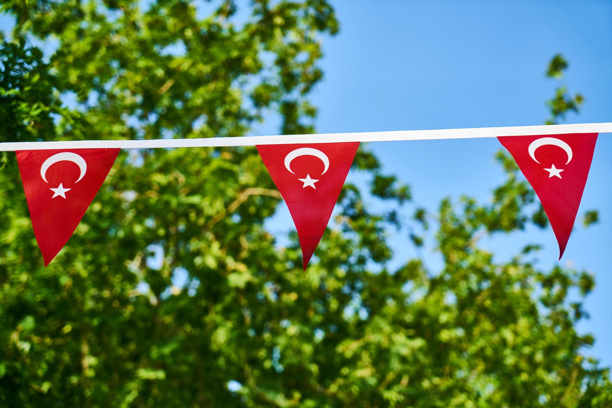 Ağaçta asılı duran küçük bayraklar